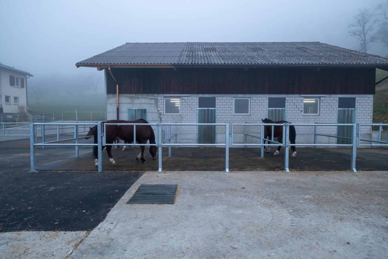 flexibels-pferdehaltungssystem-gruppen-oder-einzelhaltung-9