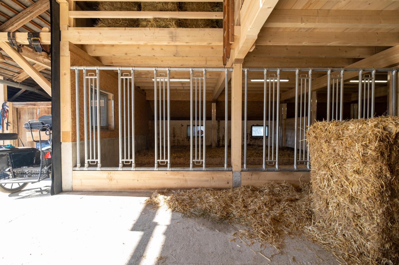 fresszaunfront-referenz-pferdestall-riggisberg