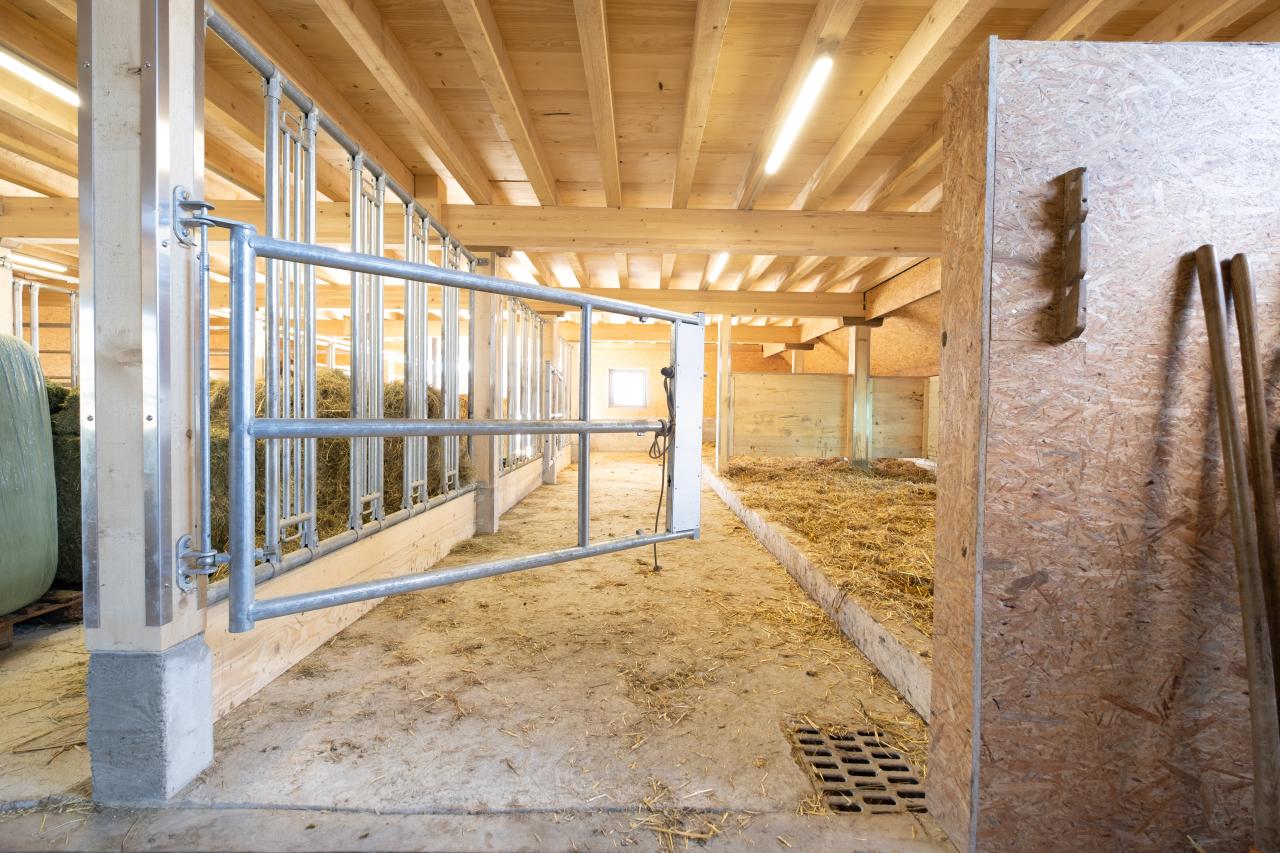 einblick-gruppenhaltung-referenz-pferdestall-riggisberg