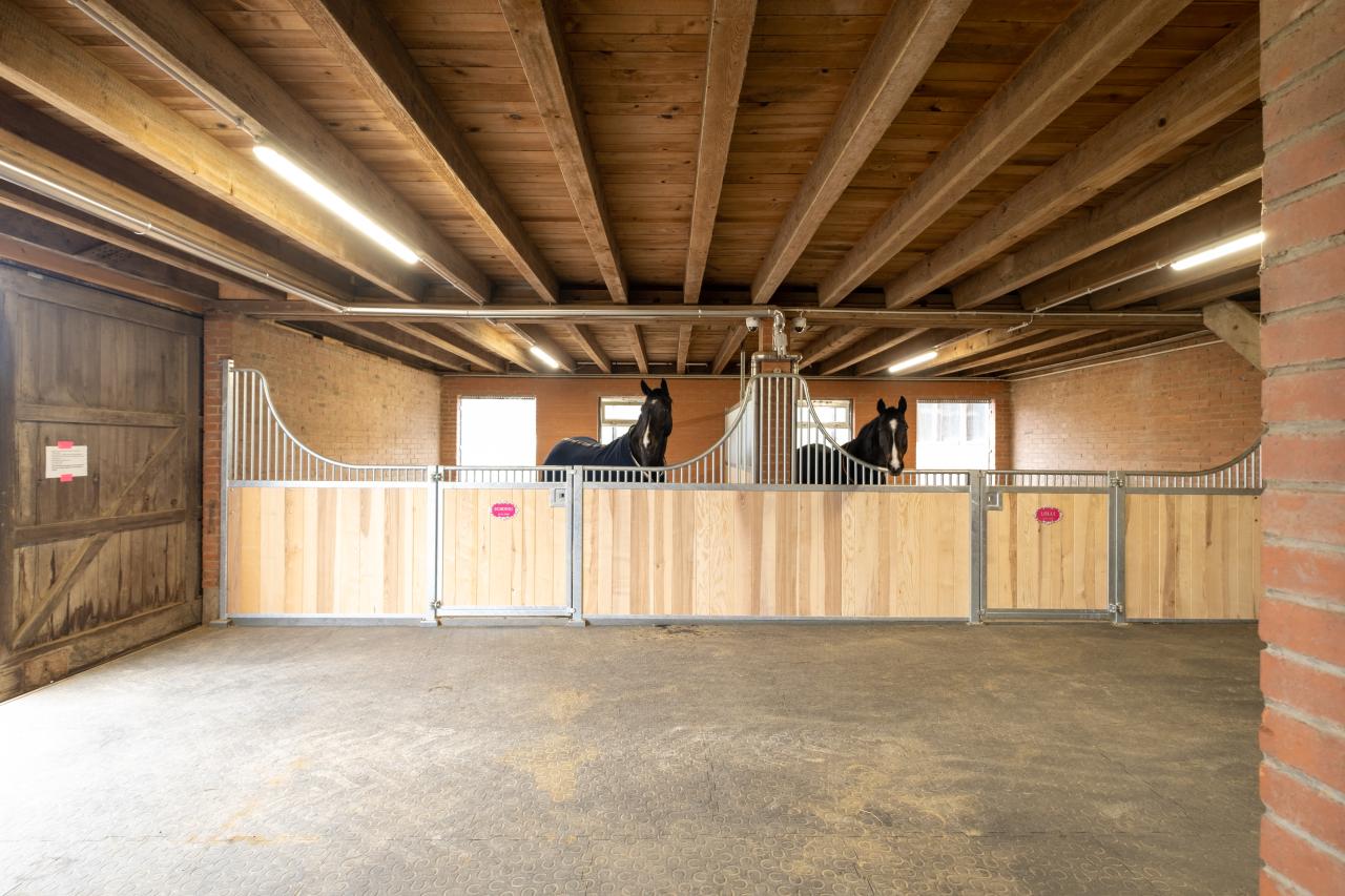 grosszuegige-pferdeboxen-fricktal