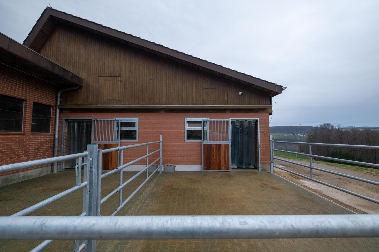 grosszuegige-pferdeboxen-fricktal-auslauf