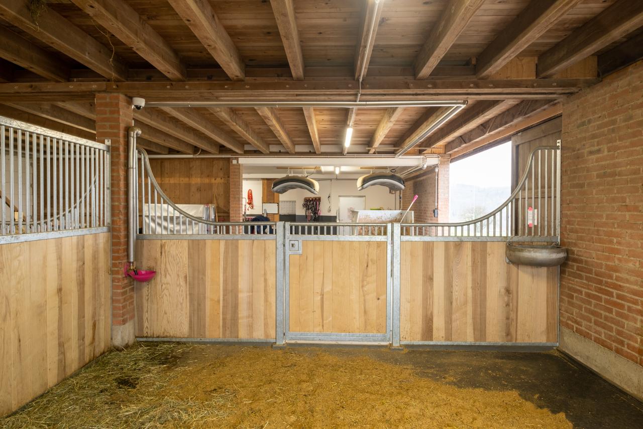 privatstall-boxen-innenansicht