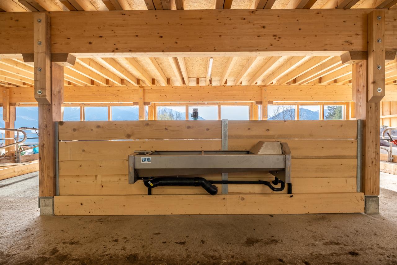 mastviehstall-neubau-graubuenden-traenketrog
