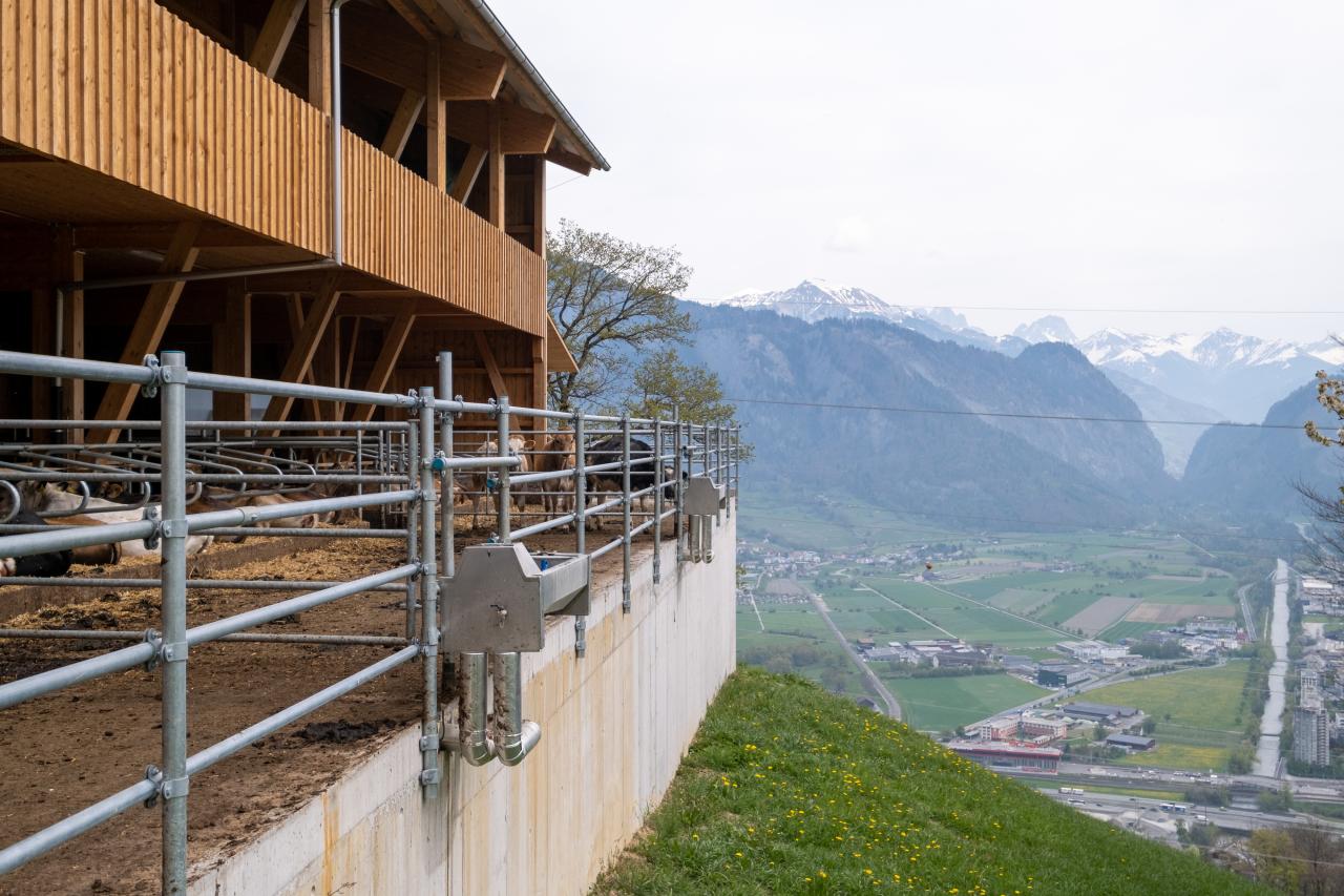 mast-und-zuchtstall-mastrils-9