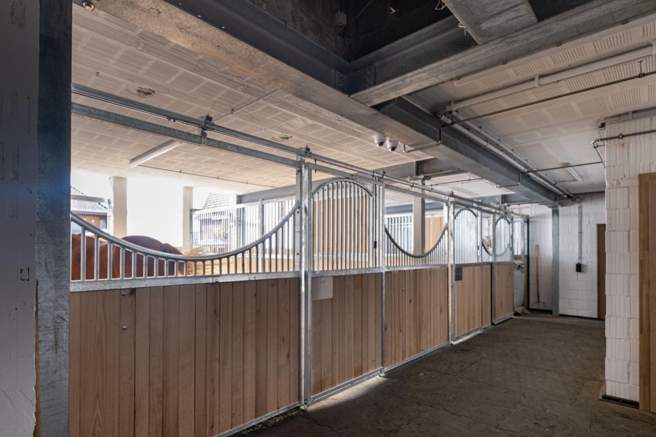 grosszuegige-pferdeboxen-fricktal-front-appenzell