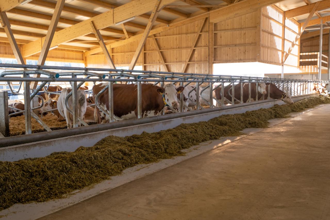 feedbox-referenzen-7