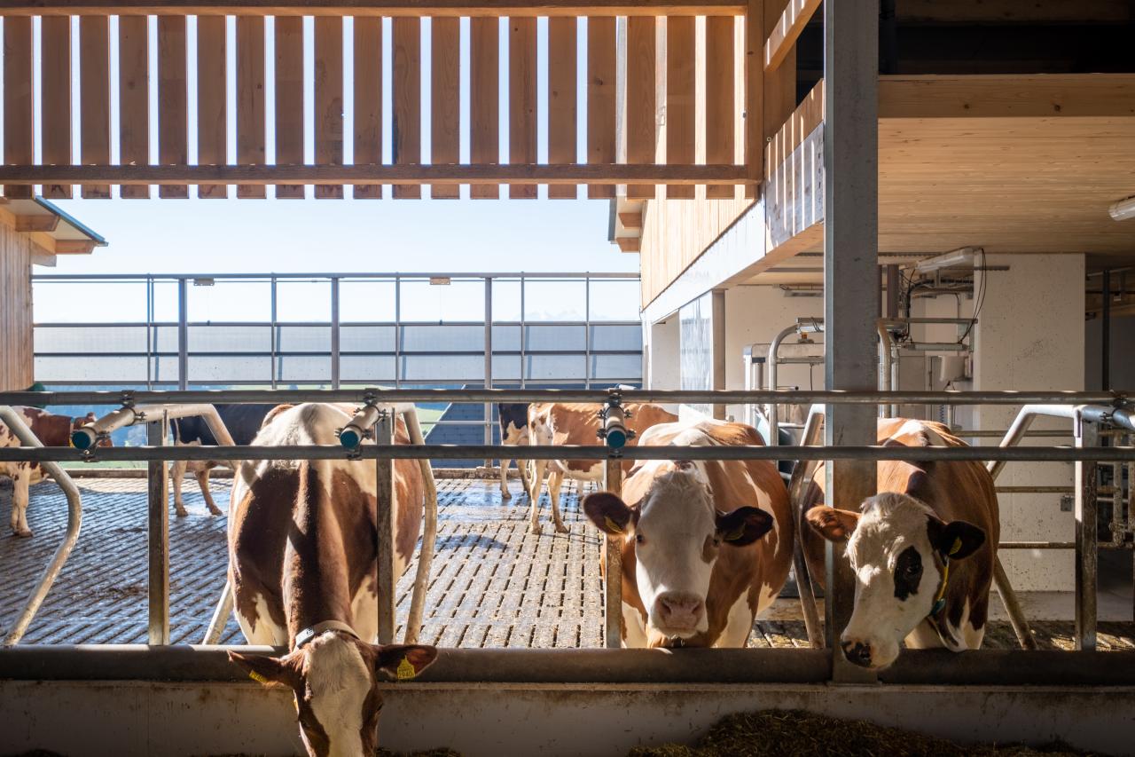 feedbox-referenzen-6.