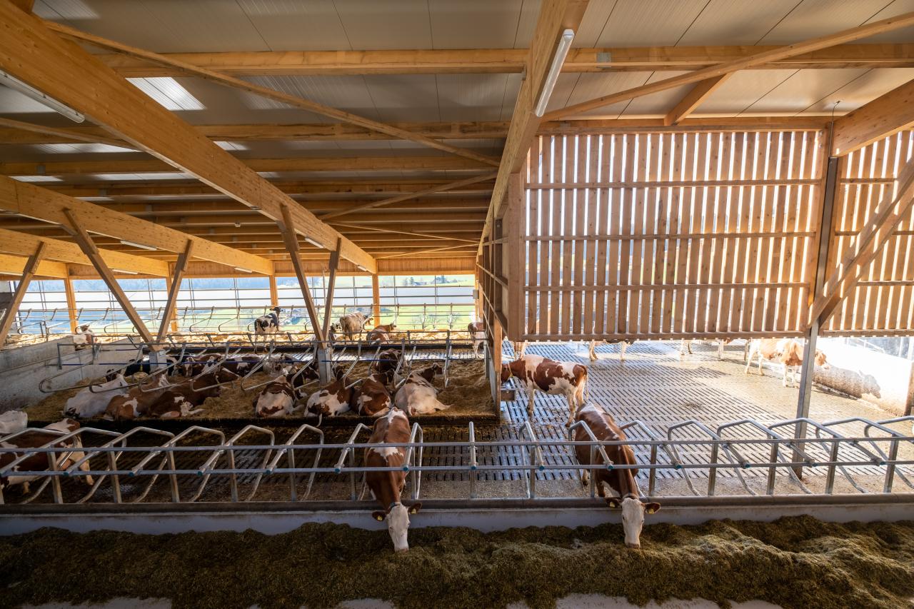 feedbox-referenzen-8