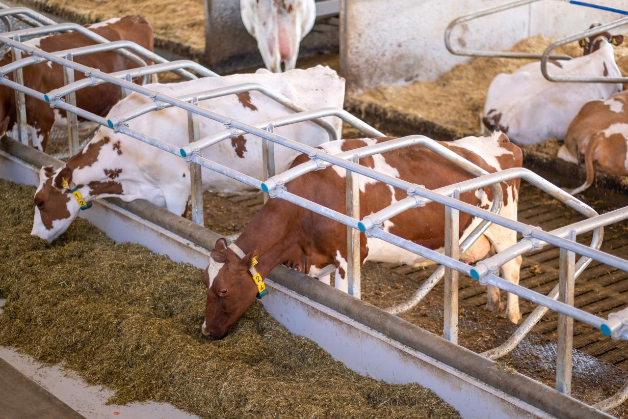 feedbox-referenzen-9