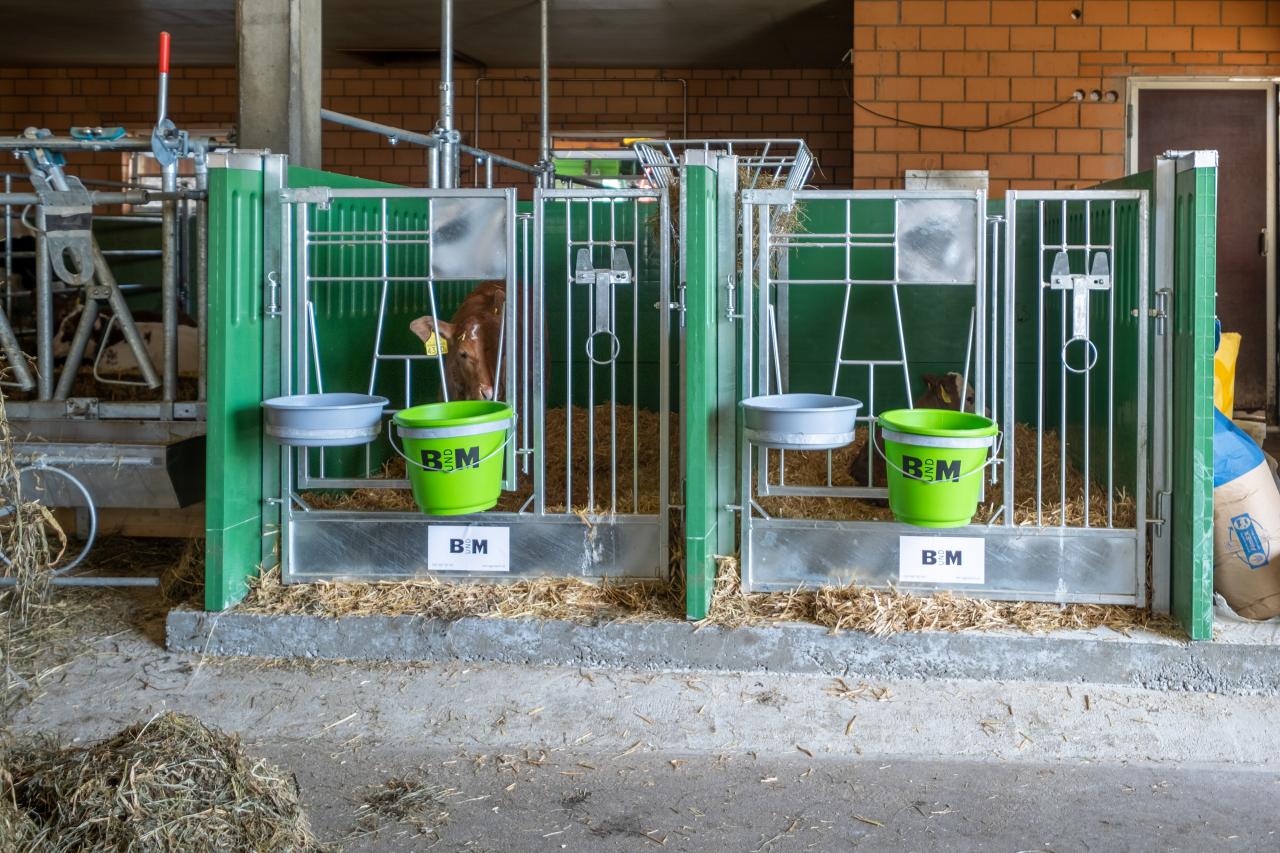 Kaelberbox-im-Baukastensystem