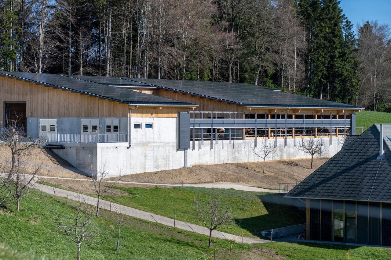 referenz-adrian-leibundgut