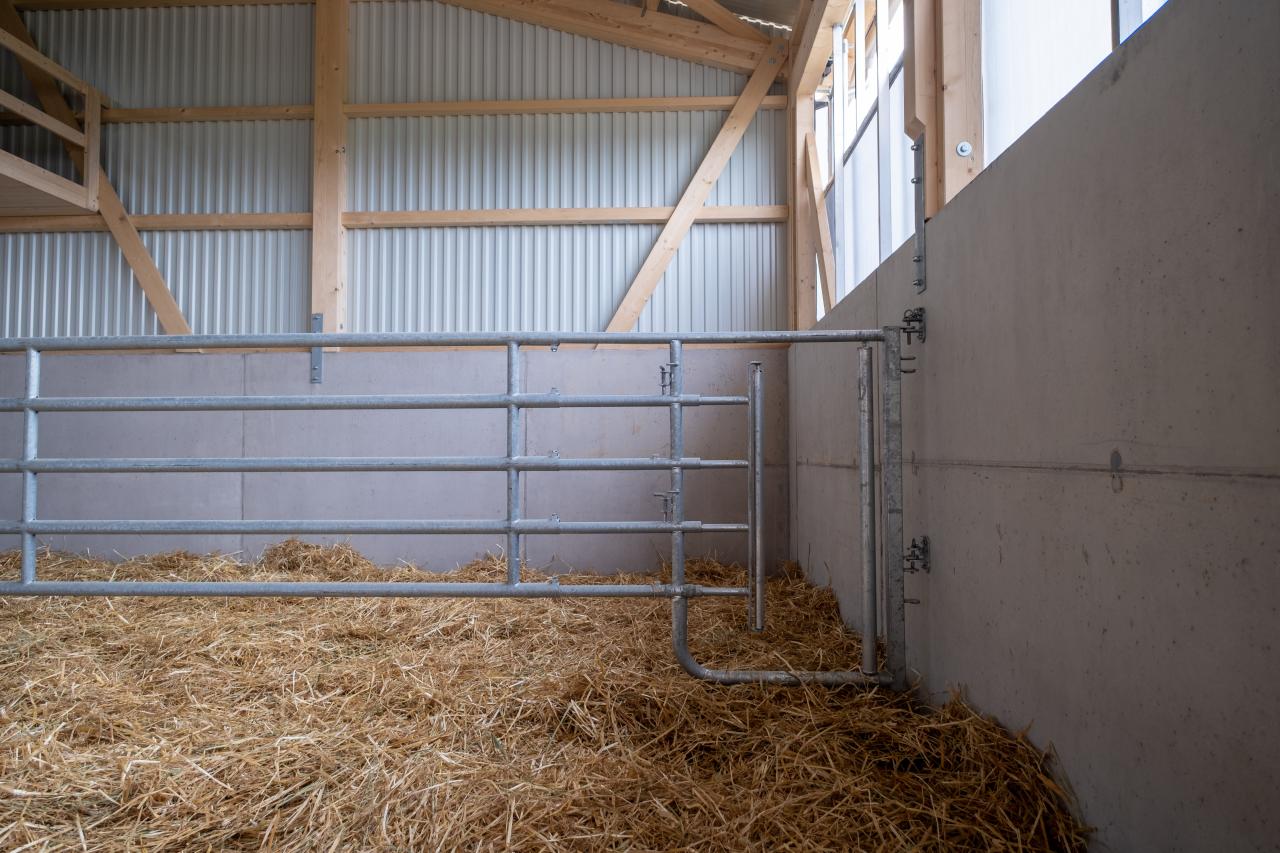 mutterkuhstall-neubau-gerbenstorf-5