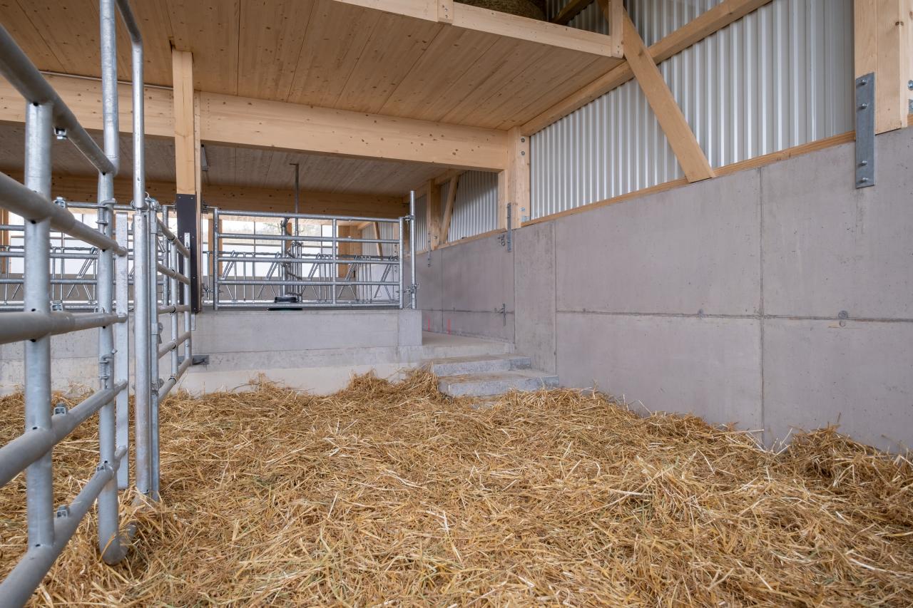 mutterkuhstall-neubau-gerbenstorf-4