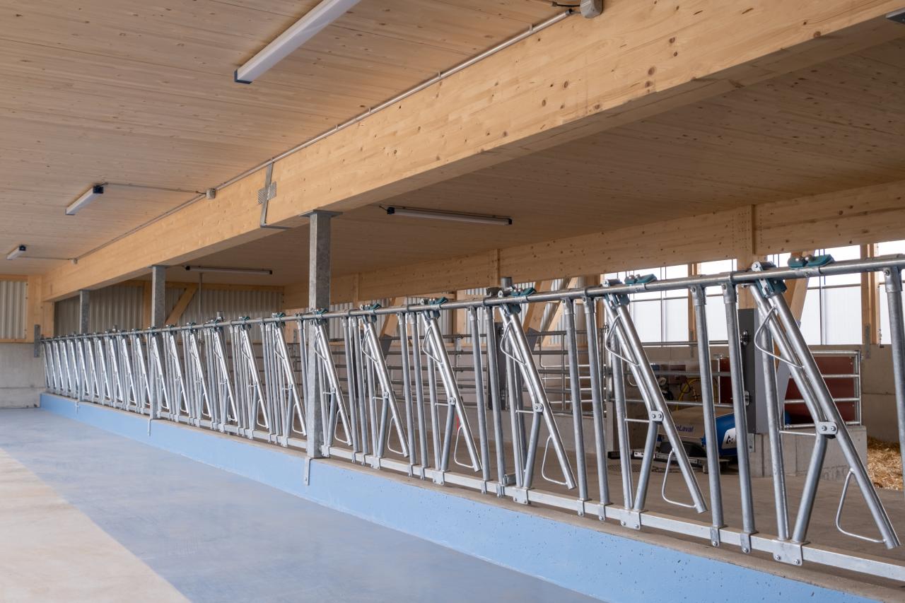 mutterkuhstall-neubau-gerbenstorf-2