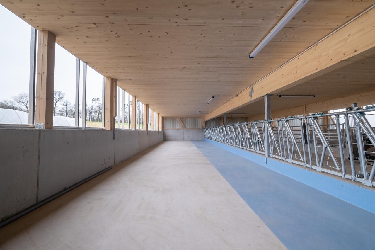 mutterkuhstall-neubau-gerbenstorf-1