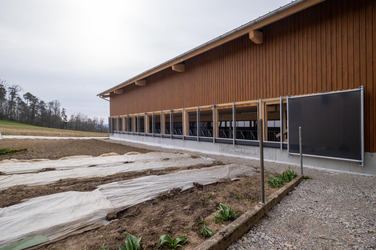 mutterkuhstall-neubau-gerbenstorf-8