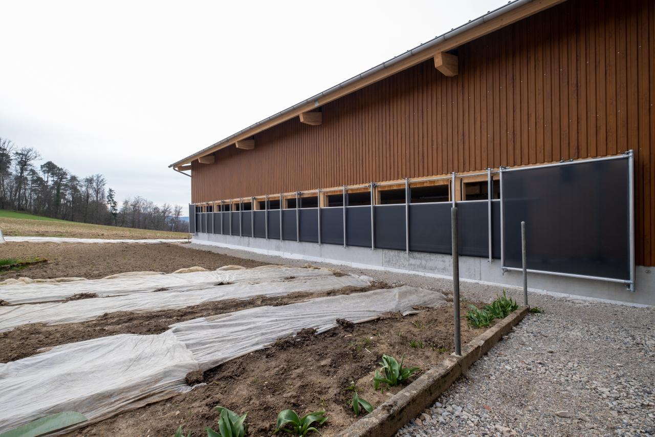 mutterkuhstall-neubau-gerbenstorf-9