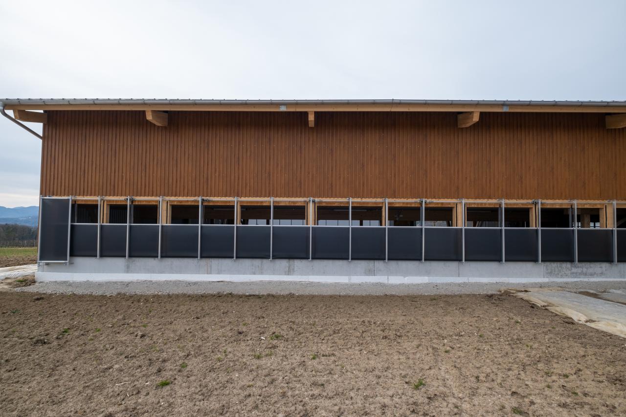 mutterkuhstall-neubau-gerbenstorf-10