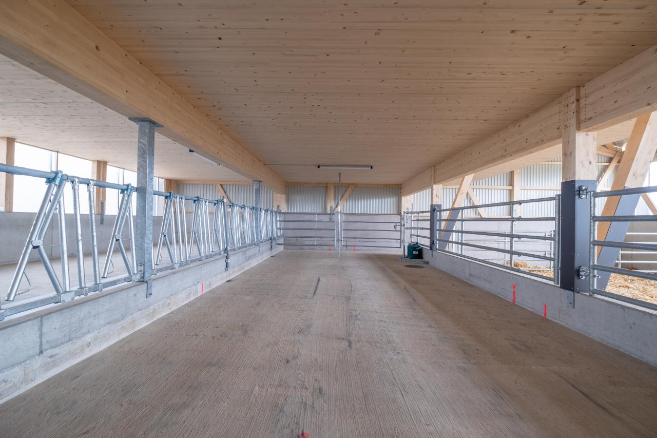 mutterkuhstall-neubau-gerbenstorf-3