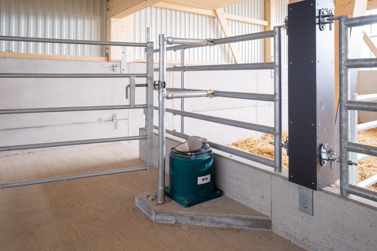 mutterkuhstall-neubau-gerbenstorf-6