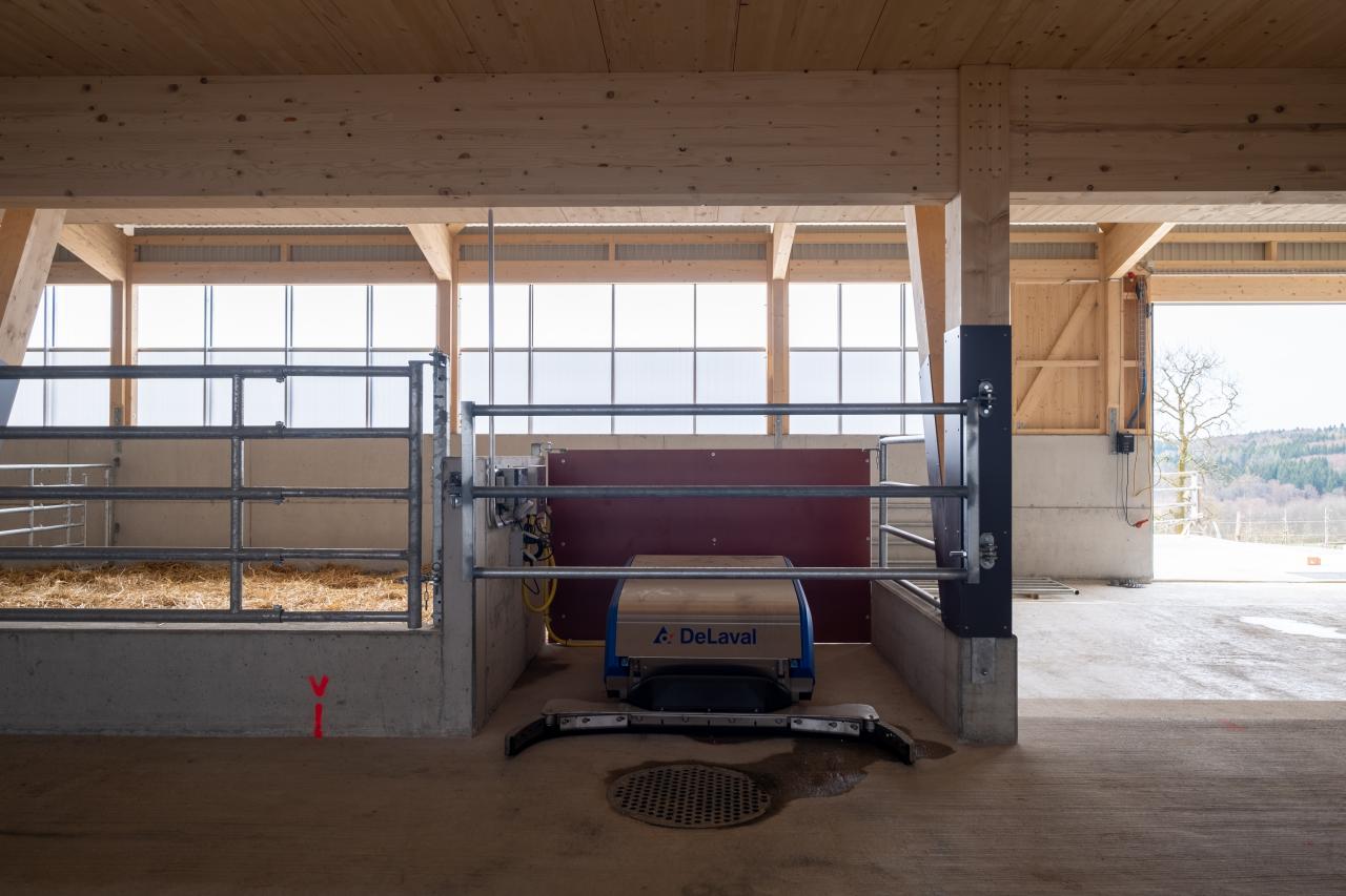 mutterkuhstall-neubau-gerbenstorf-7