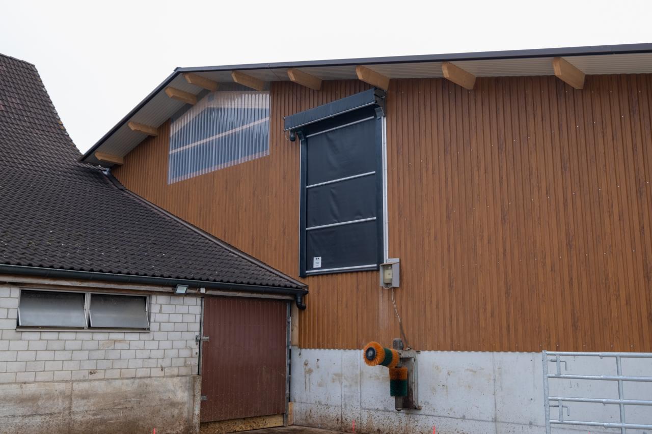 mutterkuhstall-neubau-gerbenstorf-13