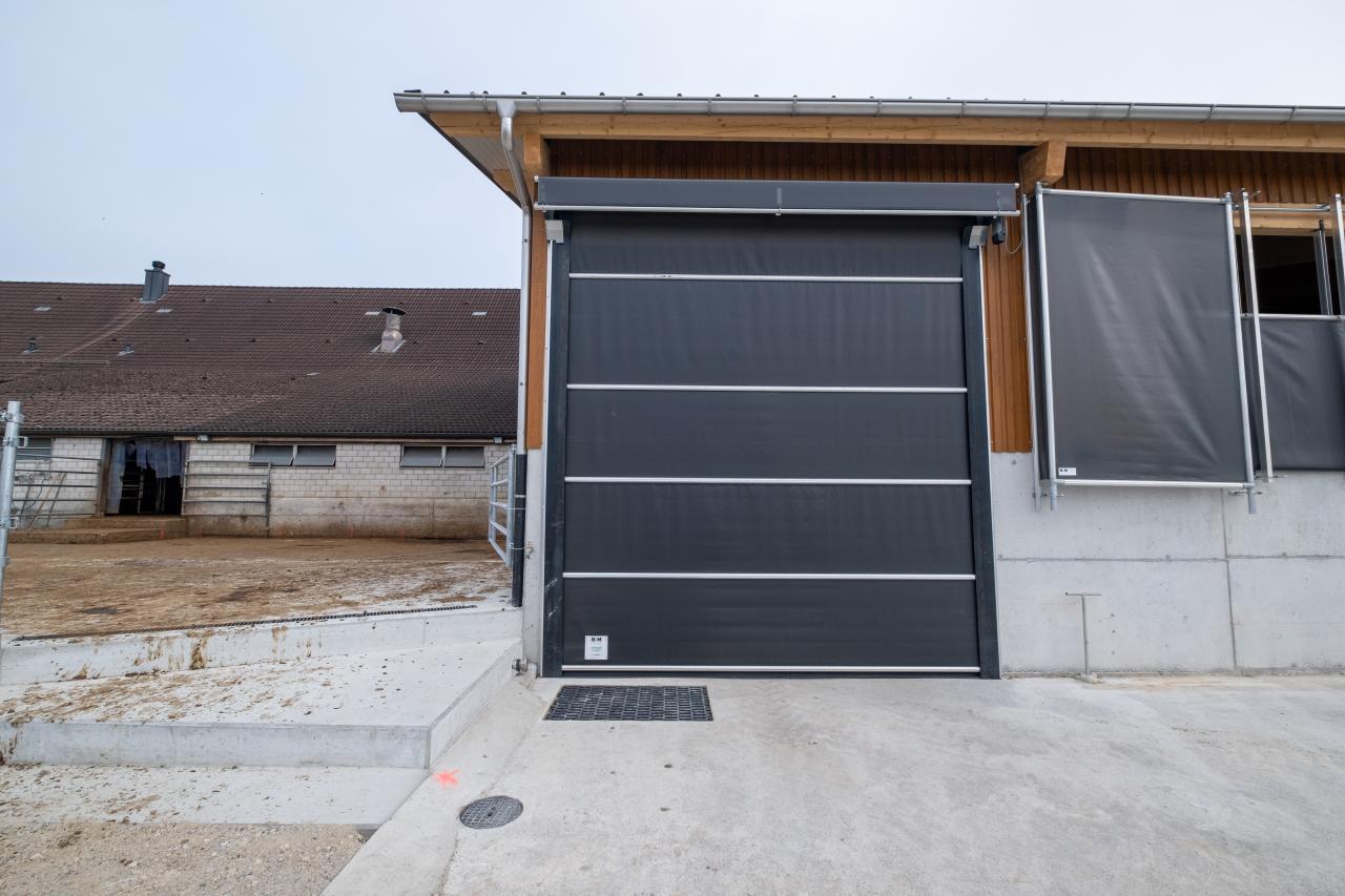 mutterkuhstall-neubau-gerbenstorf-12