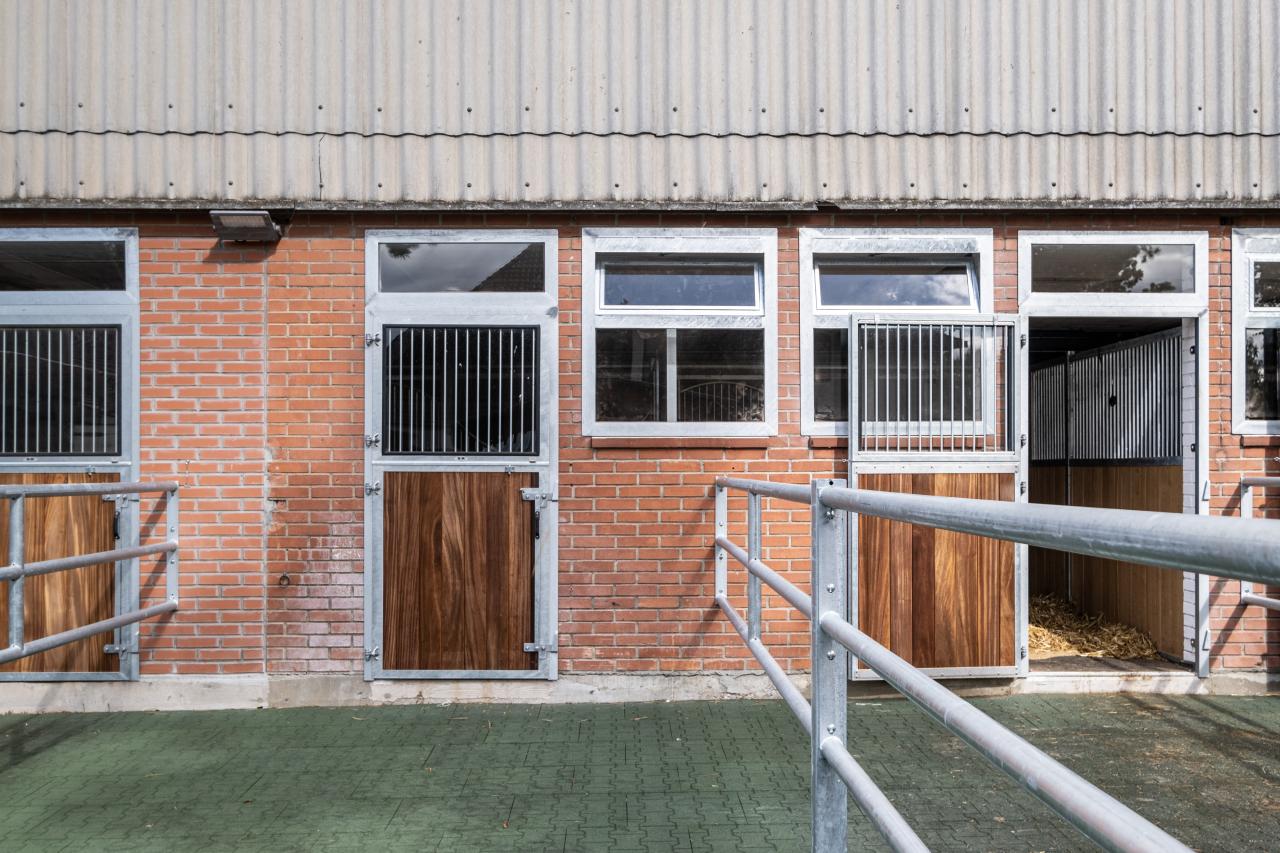 grosszuegige-pferdeboxen-auslauf-3-lagig