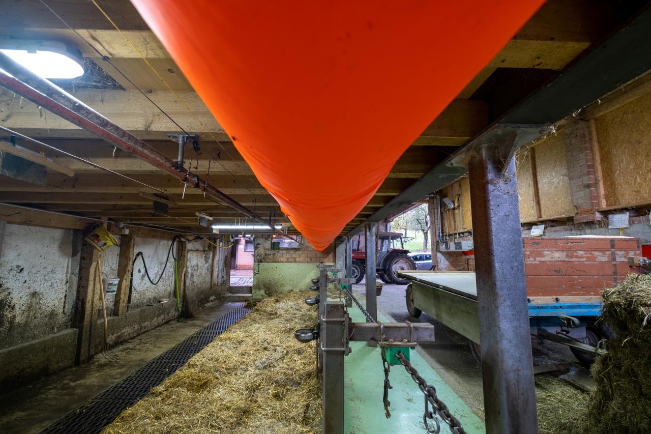 Schlauchluefter-im-anbindestall-2