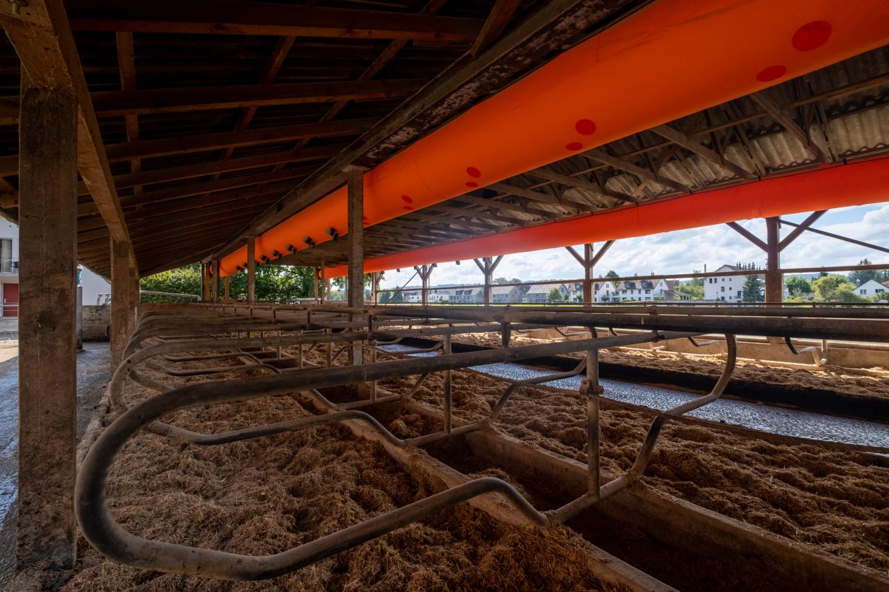 lueftungsschlauch-ueber-liegeboxen-2