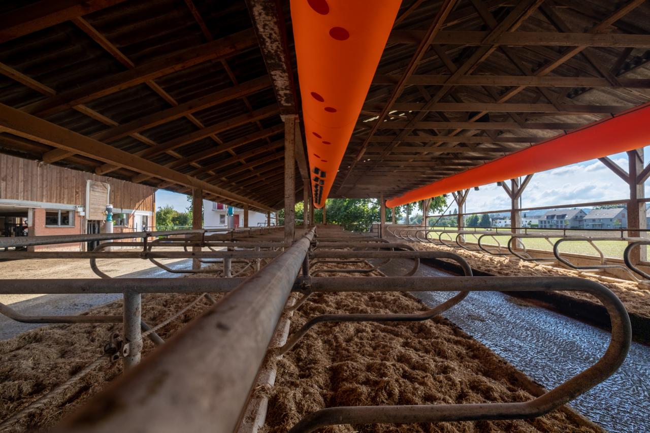 lueftungsschlauch-ueber-liegeboxen-3