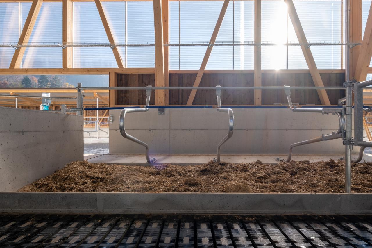 LBG 12711#2#Swing-Box im Gegenlicht in WWil#verzinkt