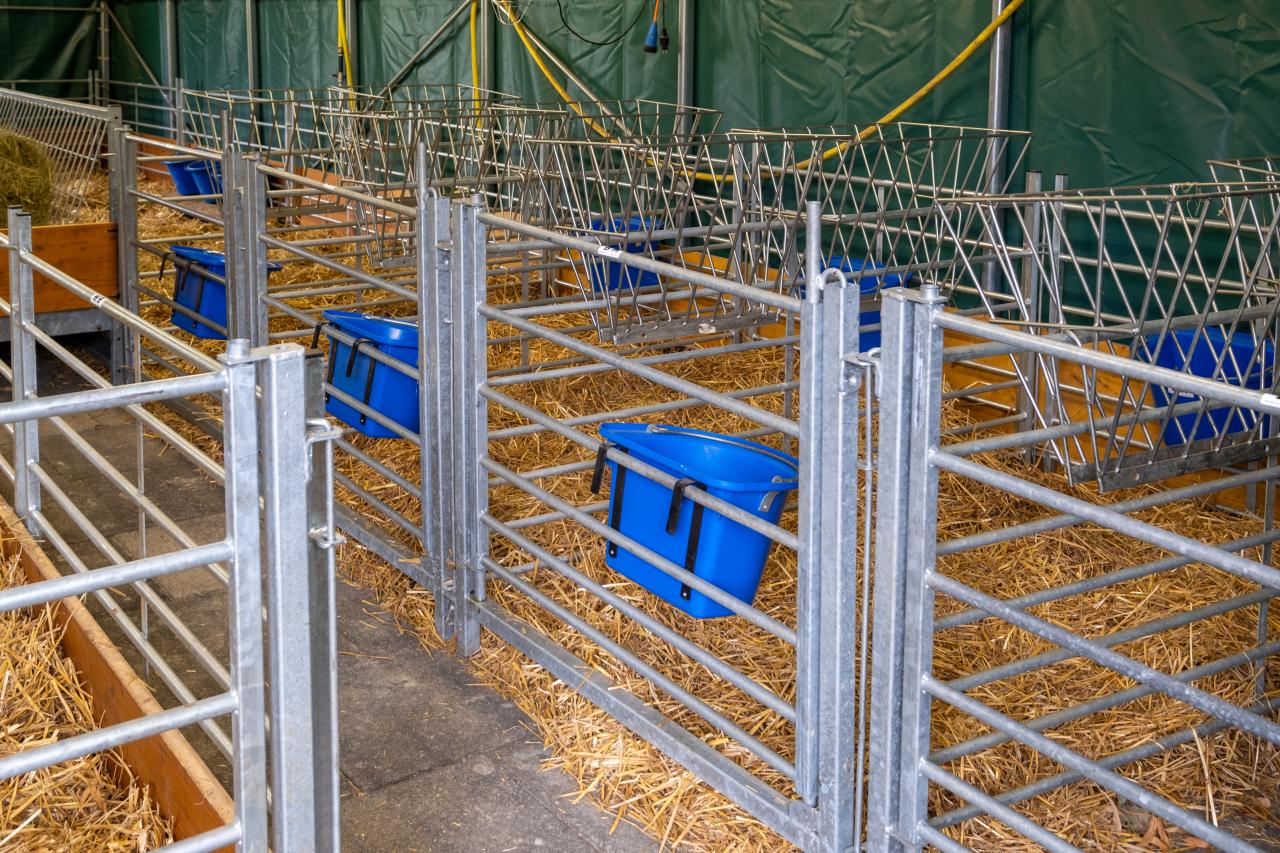 ablammboxen-in-windisch