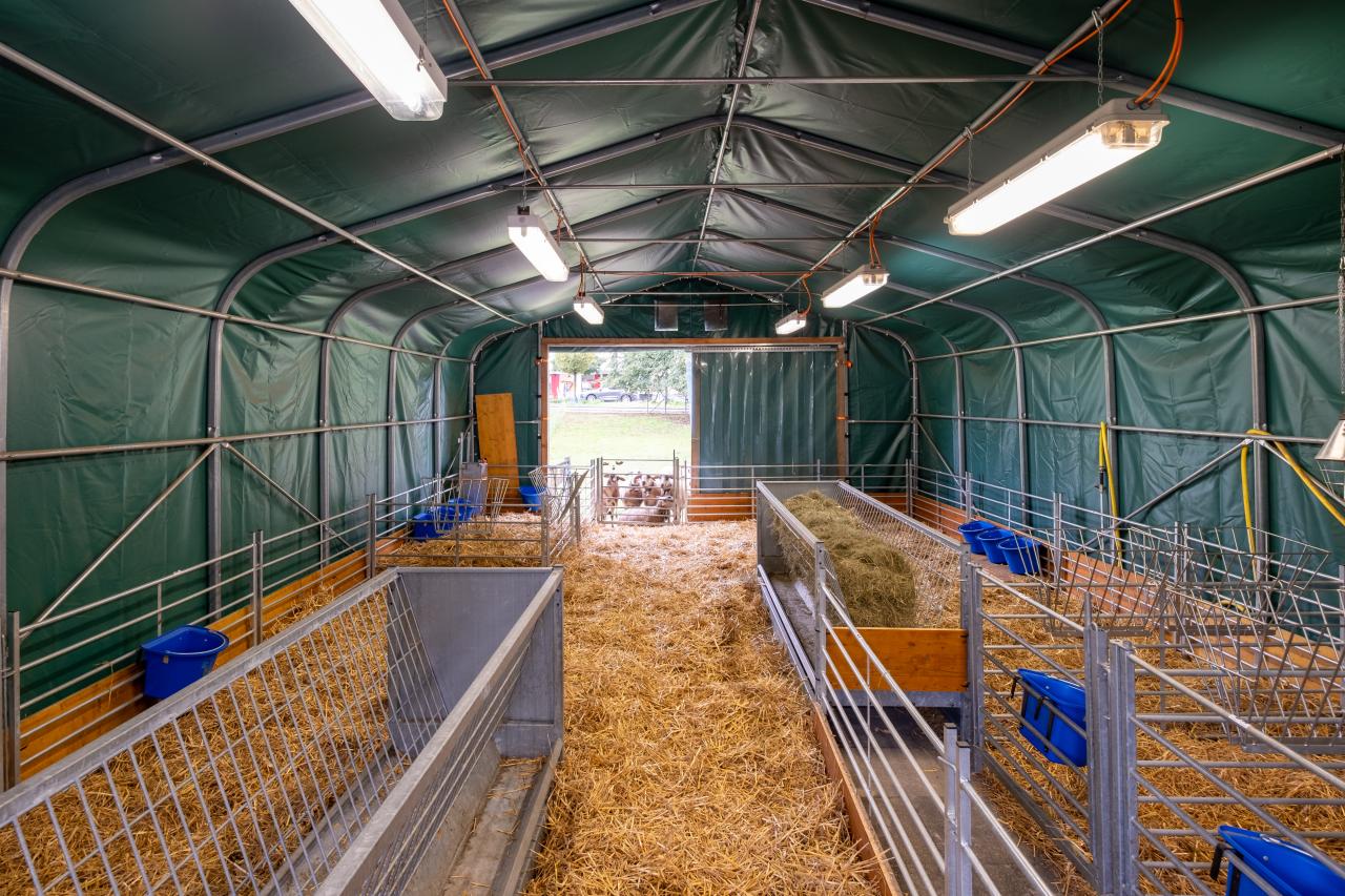schafstall-in-windisch