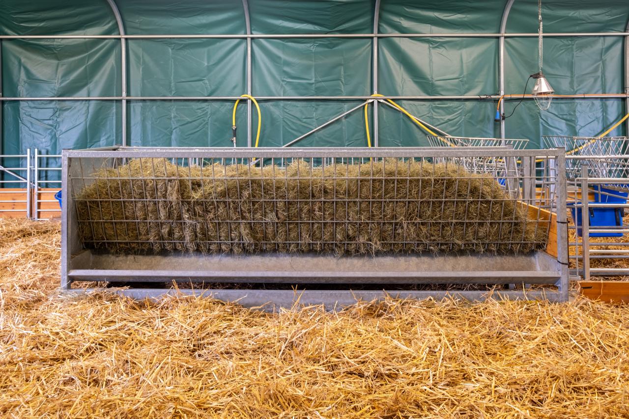 raufutter-raufe-schafe