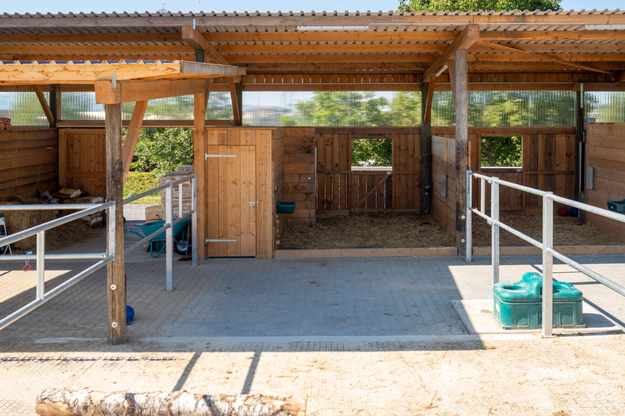 referenz-pferdehof-cham-4