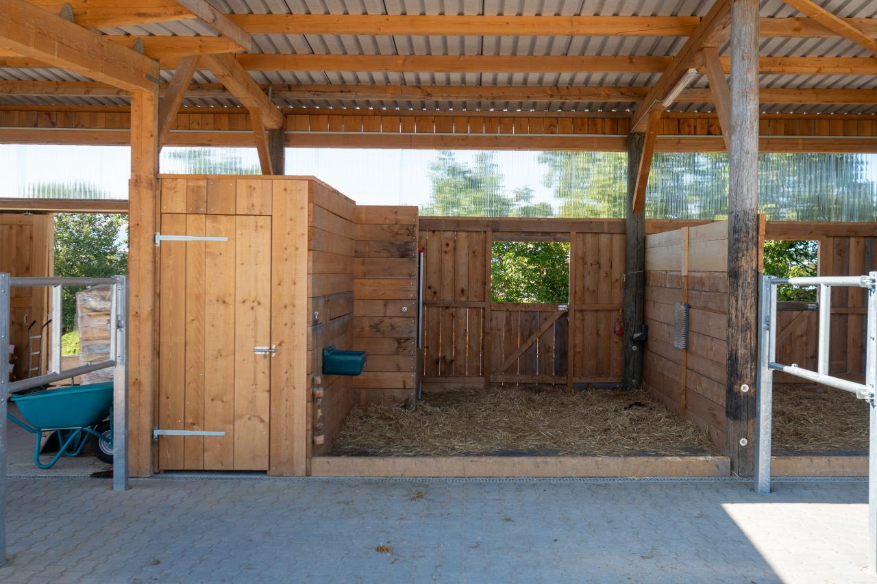 referenz-pferdehof-cham-5