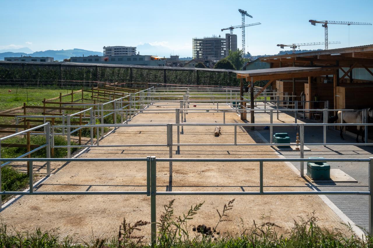 referenz-pferdehof-cham-2