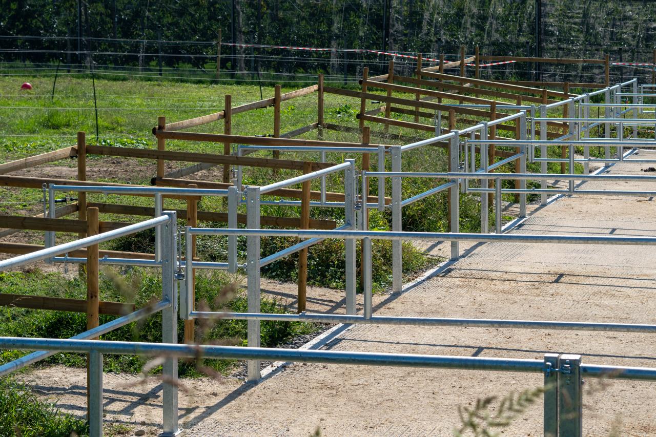 referenz-pferdehof-cham-3