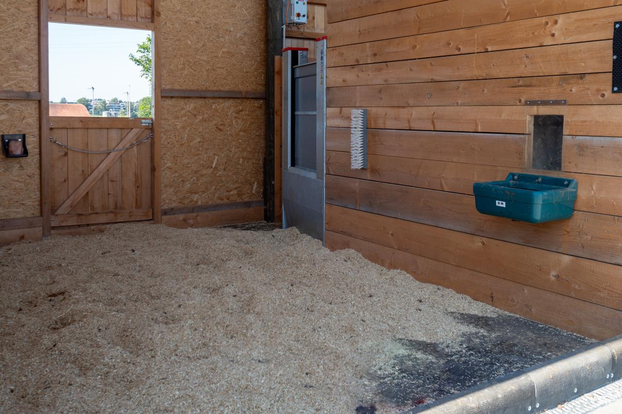 referenz-pferdehof-cham-6