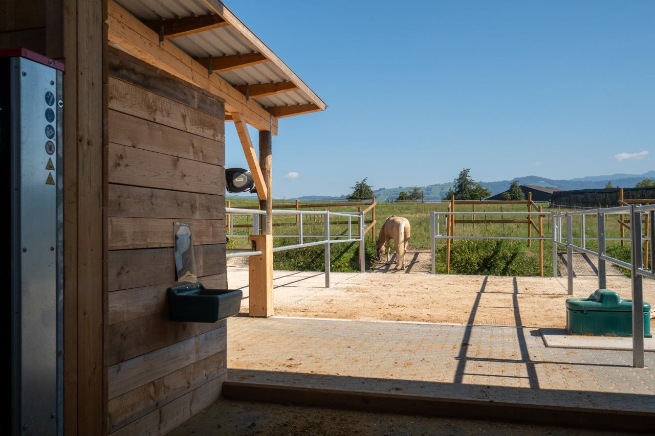 referenz-pferdehof-cham-8