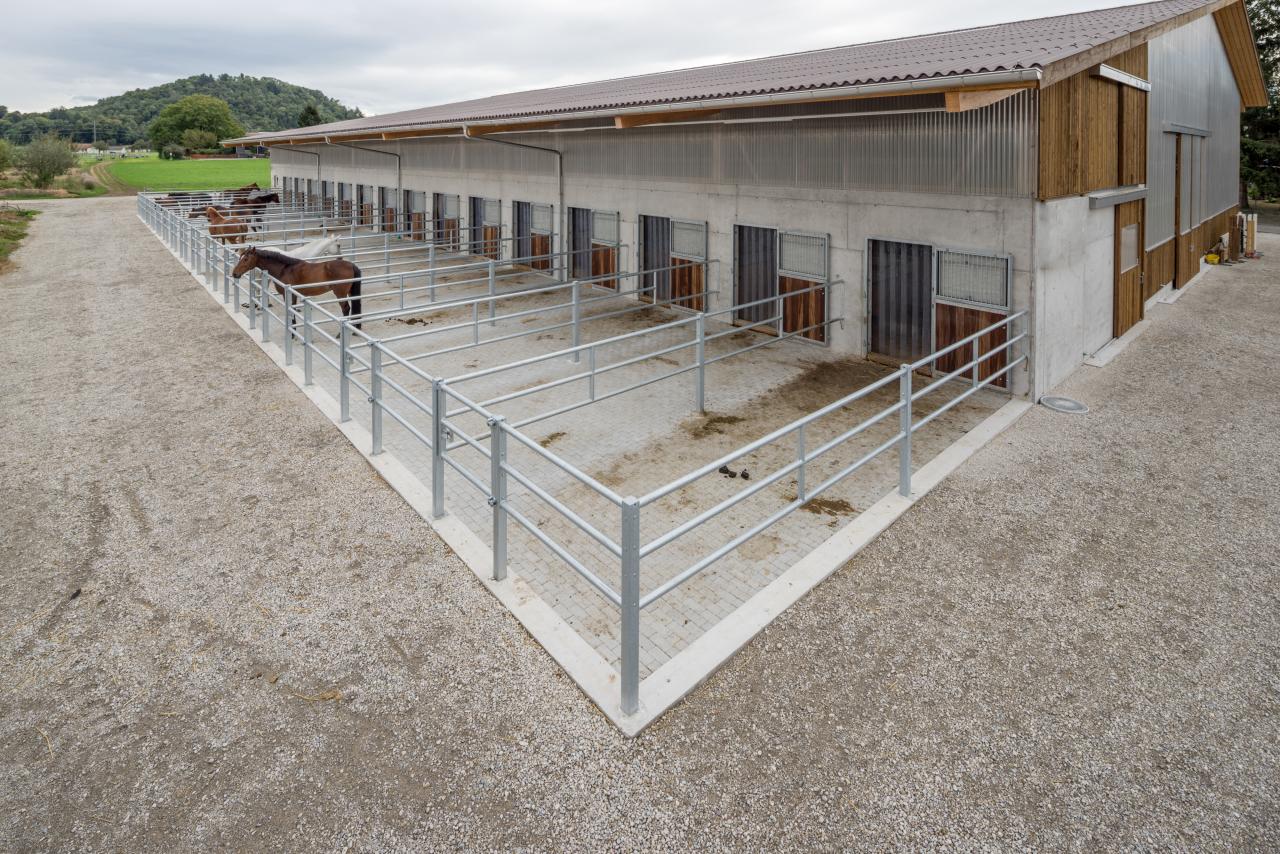 stallneubau-schafisheim-1