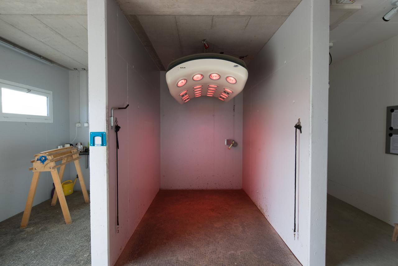 stallneubau-schafisheim-9