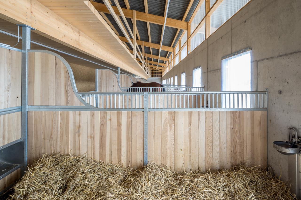 stallneubau-schafisheim-4