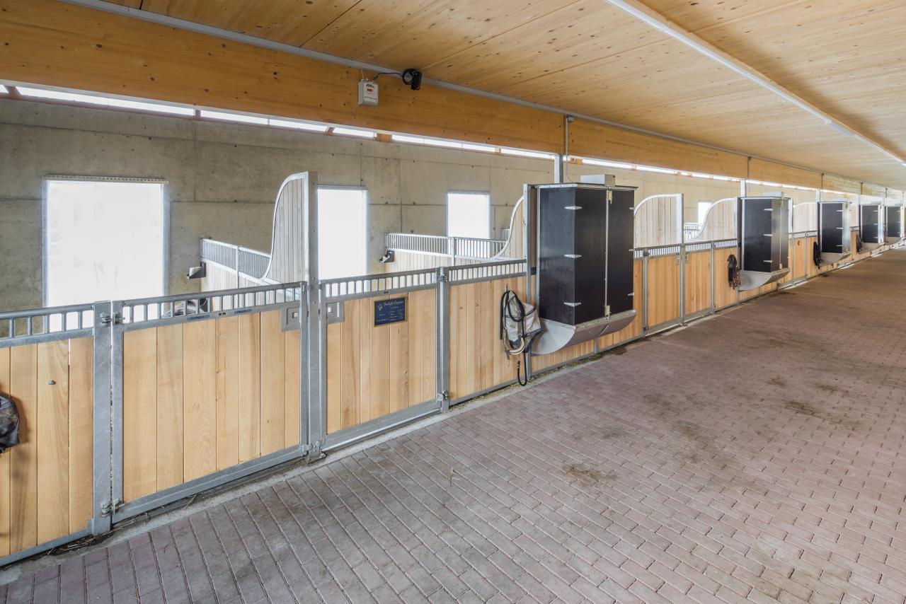 stallneubau-schafisheim-3