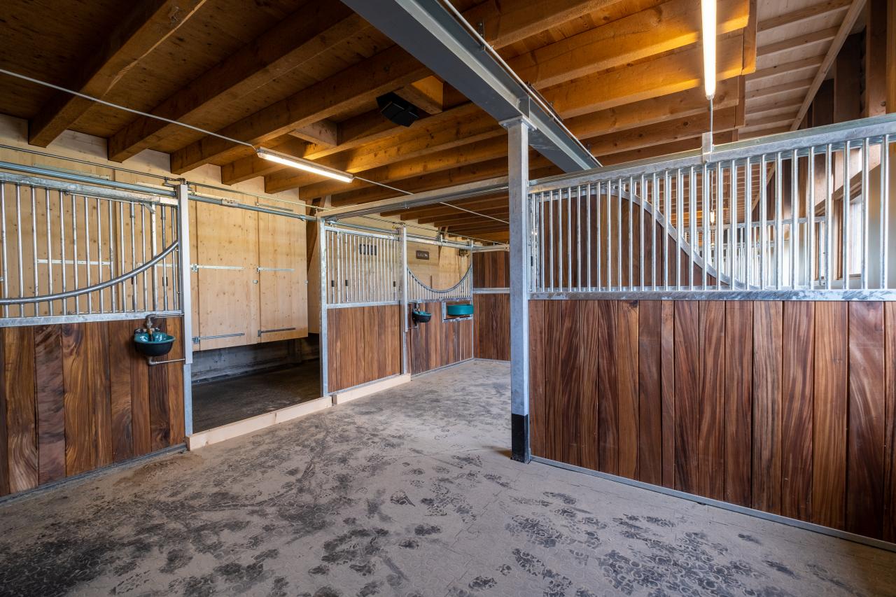 fahr-und-pensionsstall-3