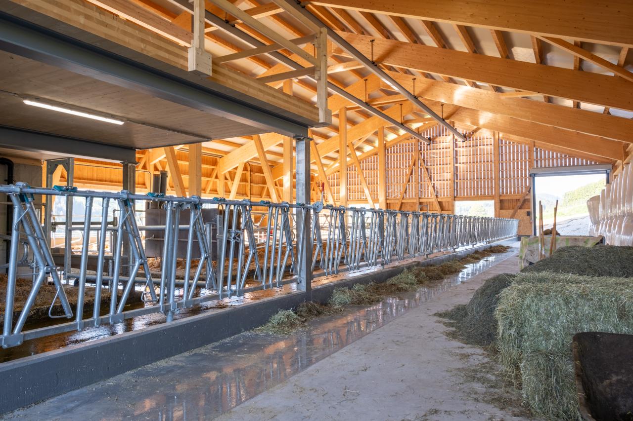 milchviehstall-mit-aussicht-5