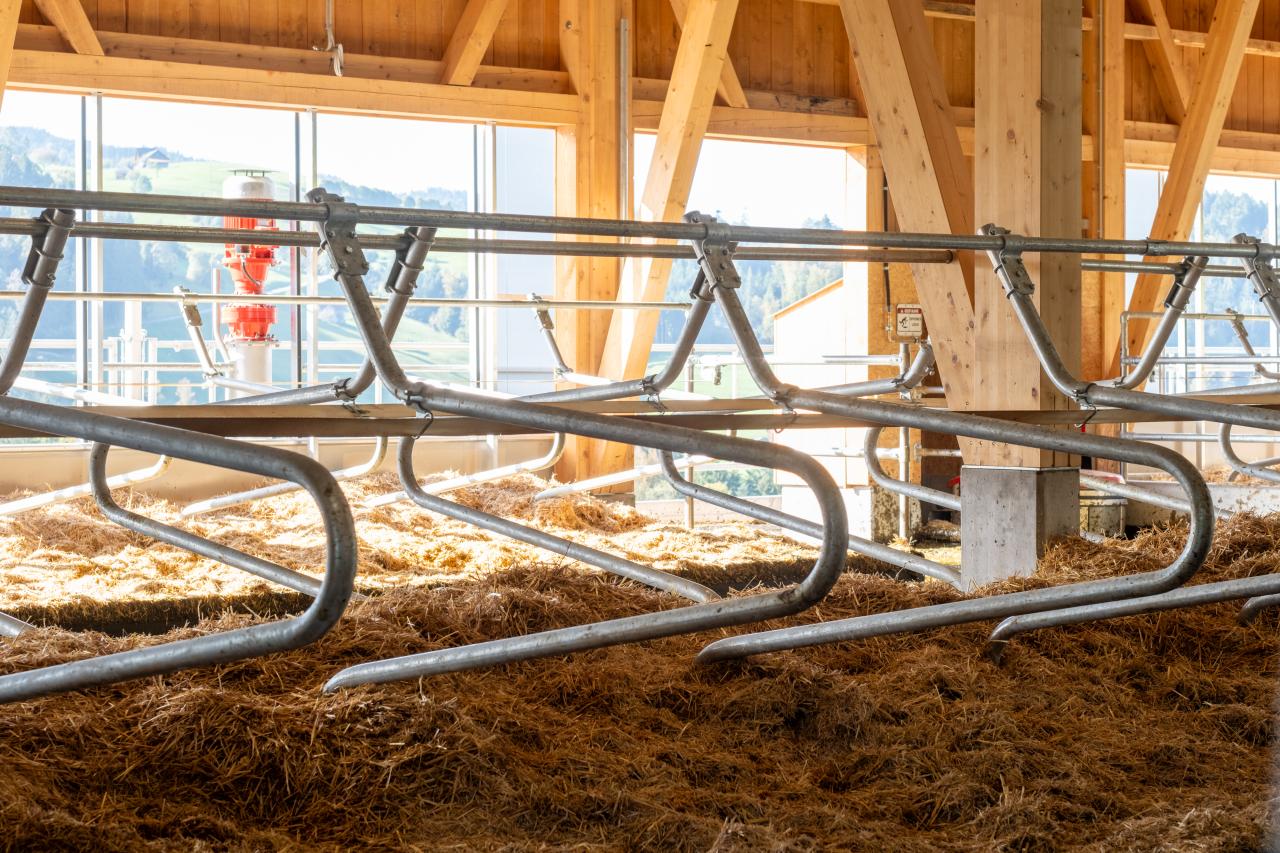 milchviehstall-mit-aussicht-4