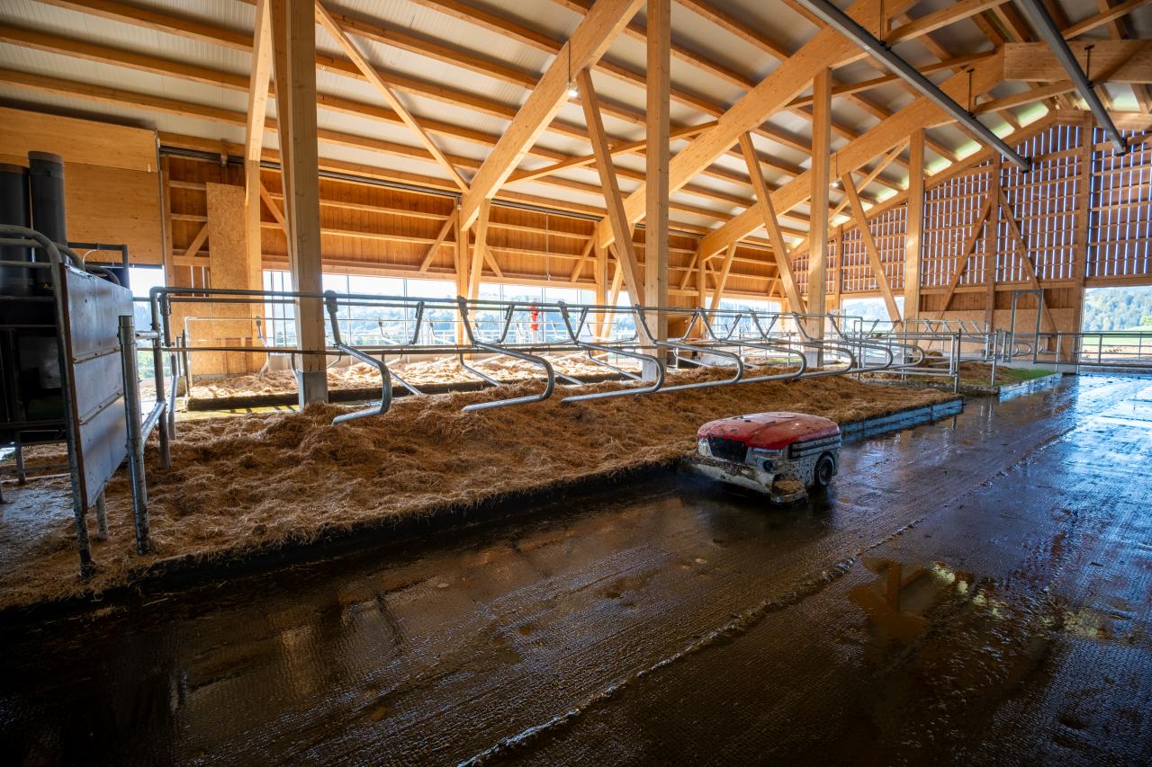 milchviehstall-mit-aussicht-3