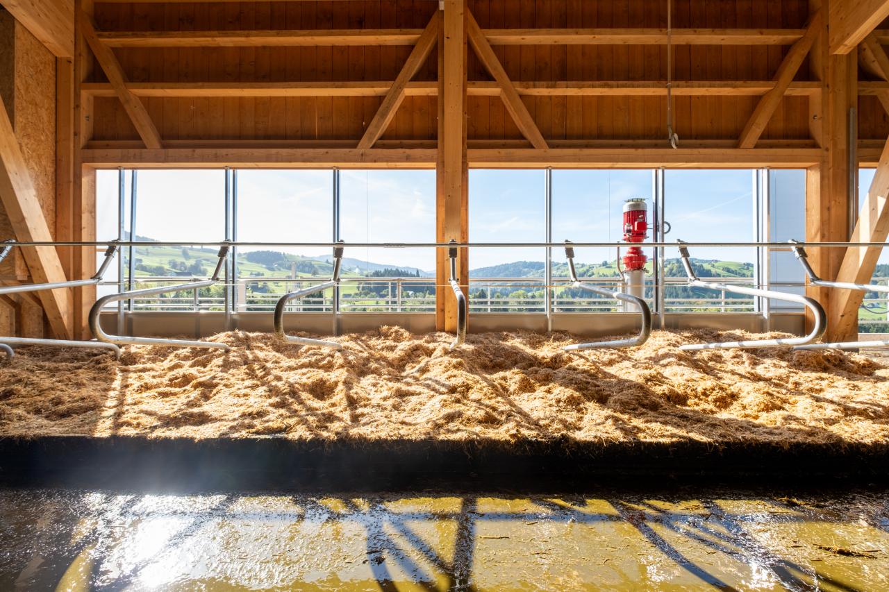 milchviehstall-mit-aussicht-2